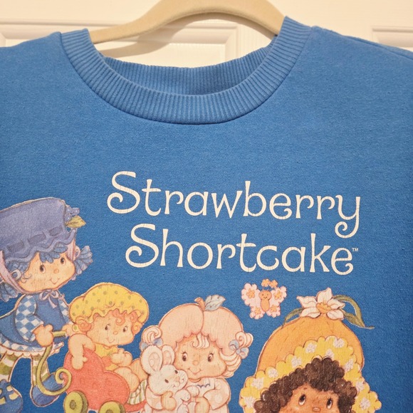 Strawberry Shortcake Tops - Strawberry Shortcake Graphic Sweatshirt Blue Crew Neck Sleeve Print MD